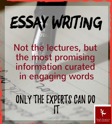 Buy Essay Papers