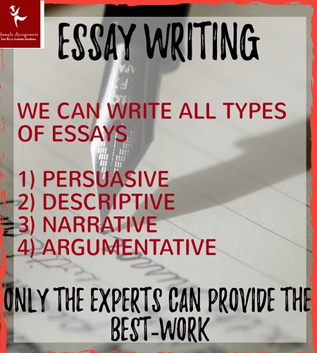 assistance with essay writing