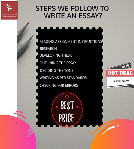 essay writing steps