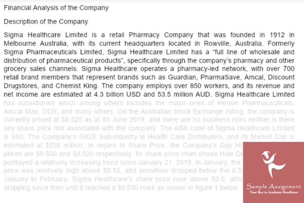 financial risk analysis of company