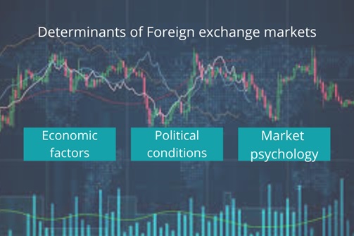 Forex Assignment Help