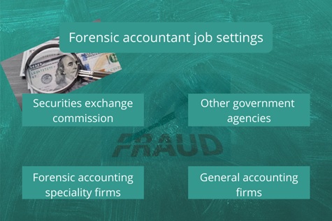 Forensic Accounting Job