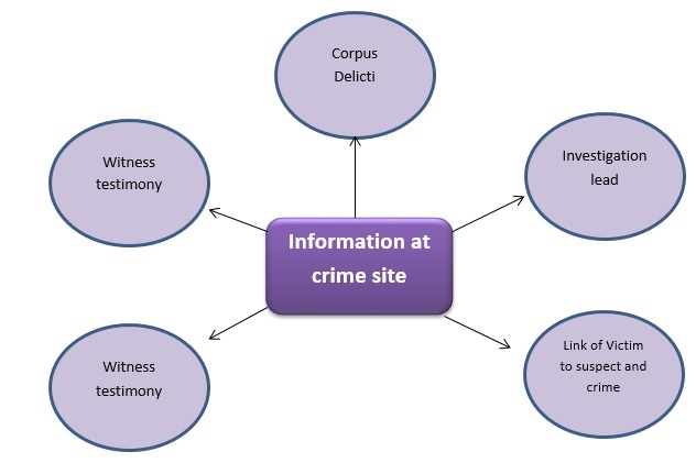 forensic science assignment help