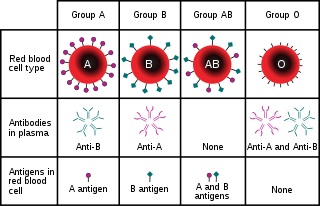 genetic mapping assignment-help