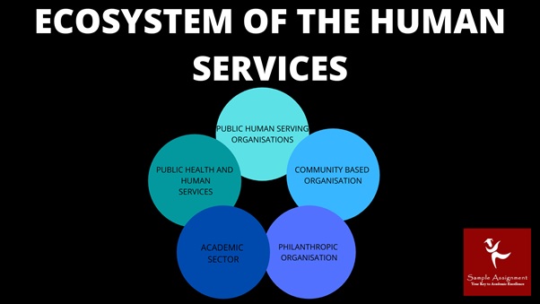 human services and interventions assignment help