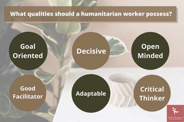 humanitarian assignment question sample