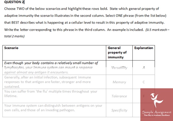 immunity assignment help online