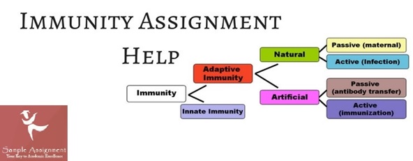 infection and immunity assignment help online