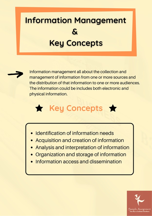 information management assignment help