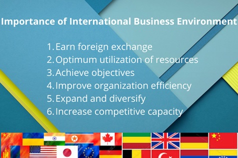 international business environment