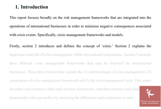 international risk assessment sample