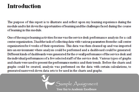 it management assignment