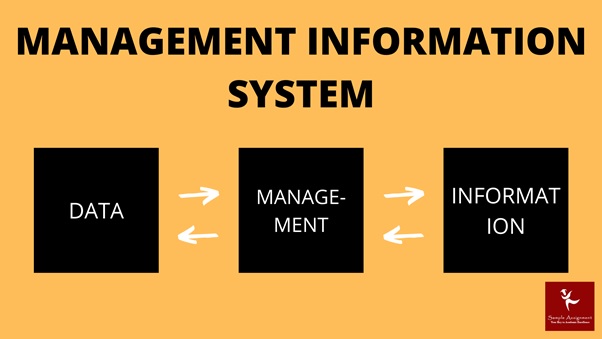 management information system assignment help