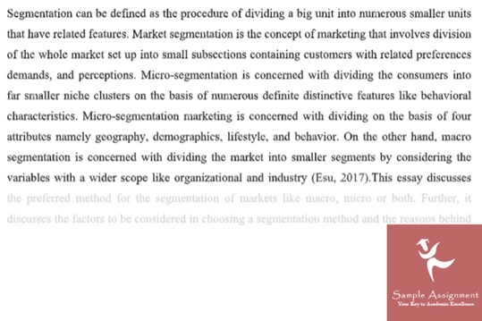 market segmentation assignment experts