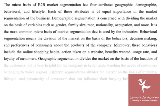 market segmentation assignment online class=