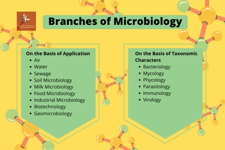 bacteriology assignment help