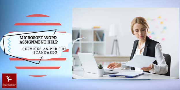 microsoft word assignment help