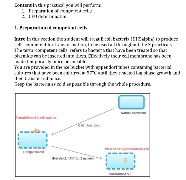 Molecular Biology Assignment Help