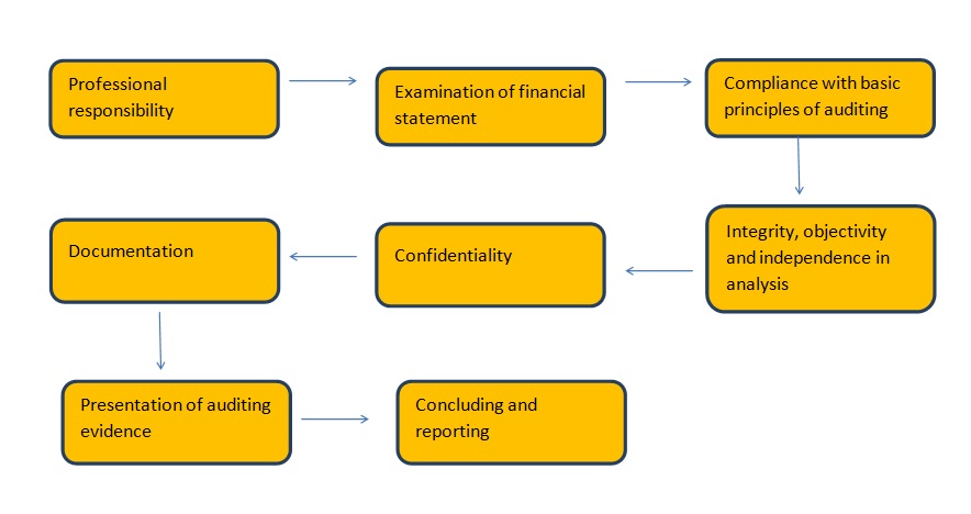 Audit Assurance Assignment Help Steps