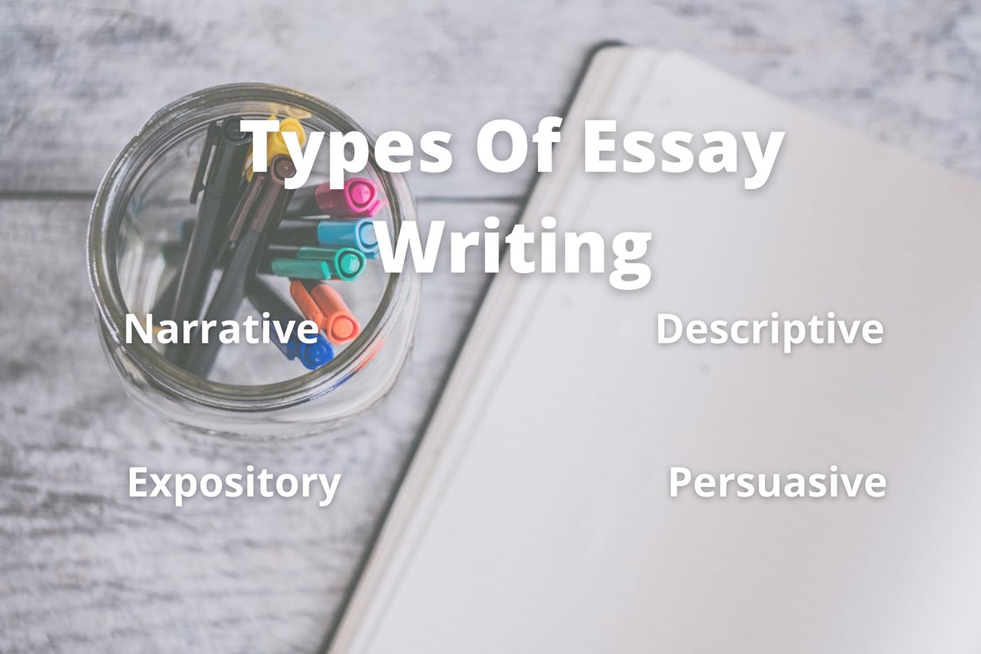 professional essay writers