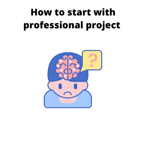 professional project assignment help