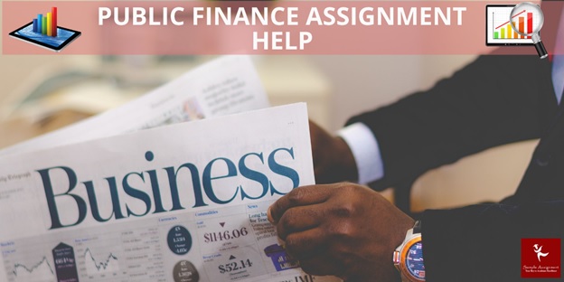 public finance assignment help