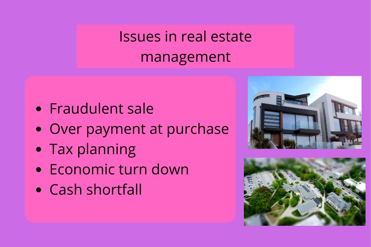 real estate investment assignment help