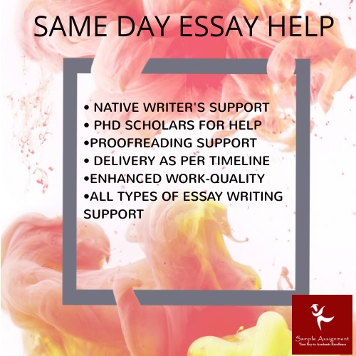 same day essay help