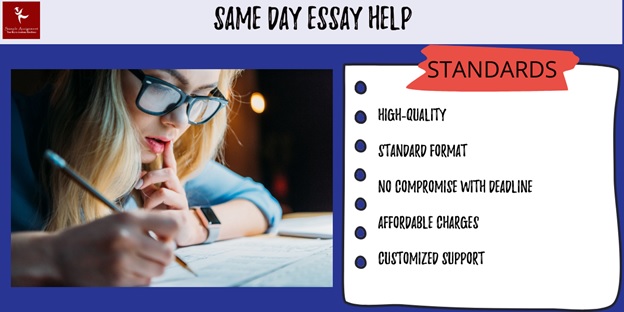 same day essay writing help