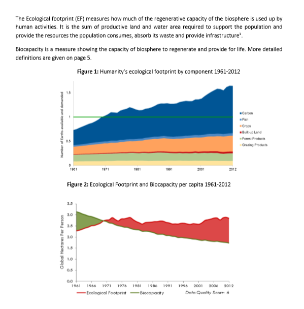 samples of econometrics assignment