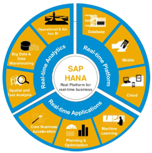 sap hana assignment help