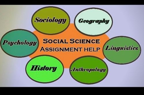 social science assignment help