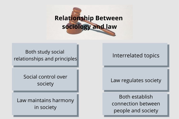 sociology law essay help