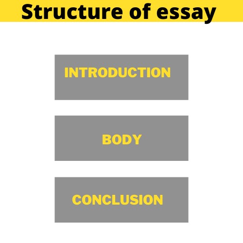 professional essay writers help