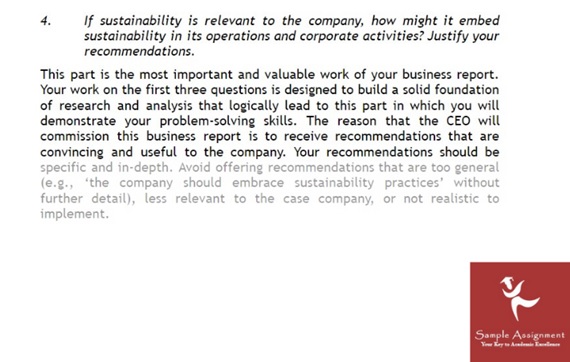 sustainability management assignment example online