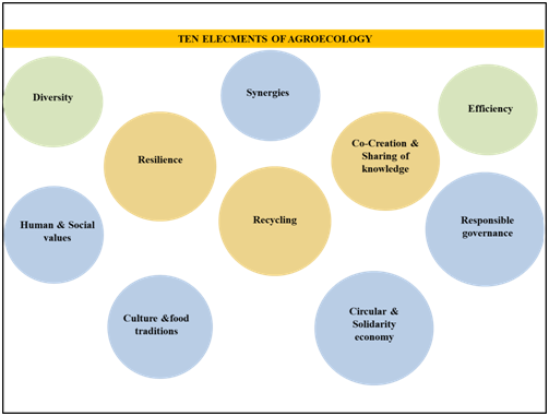 key element of agroecology