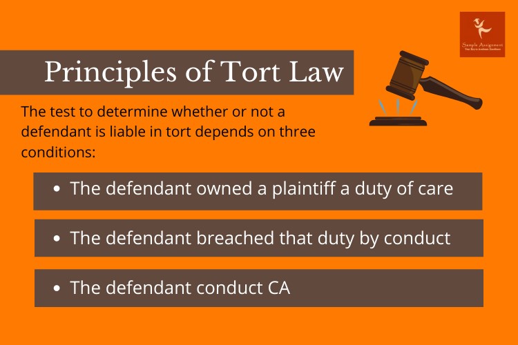 tort law assignment help