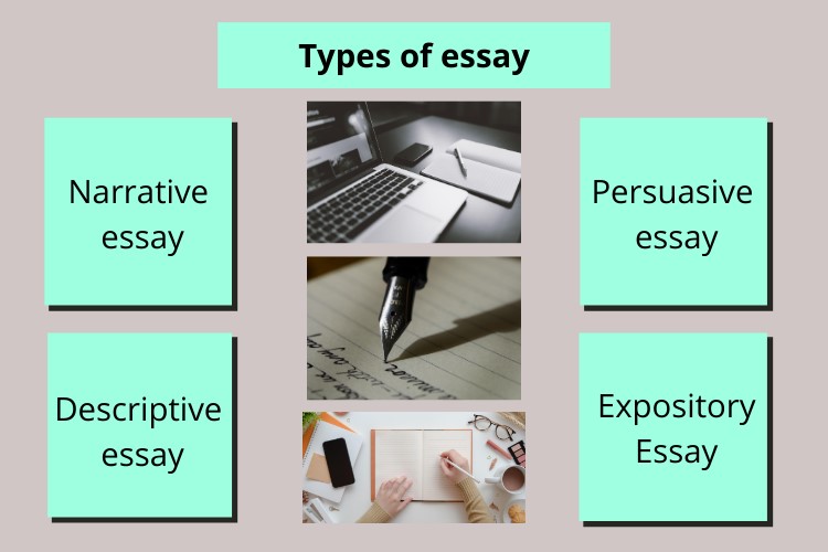 basics of essay writing