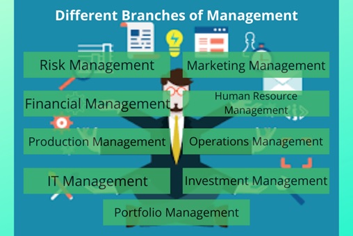 branches of management