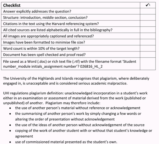 archaeology essay writing solution