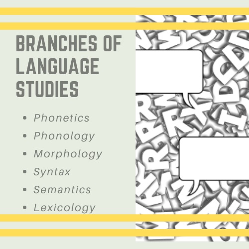 branches of language studies