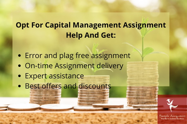 capital management assignment help