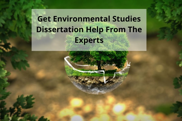 environmental studies dissertation help uk