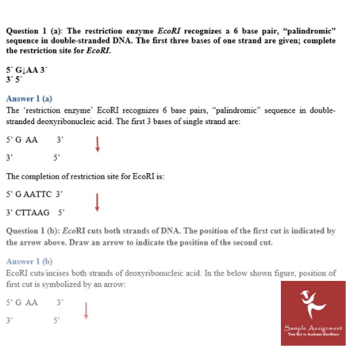 enzyme assignment sample