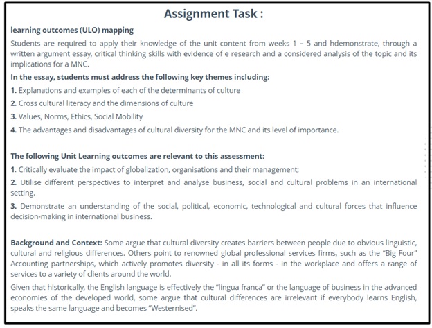 international business essay question