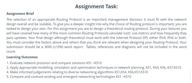 network simulation assignment task