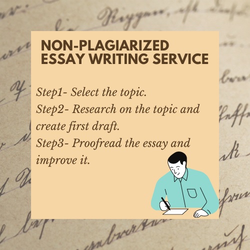 non plagiarized essay writing service