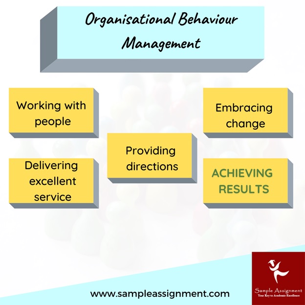 organisational behaviour management