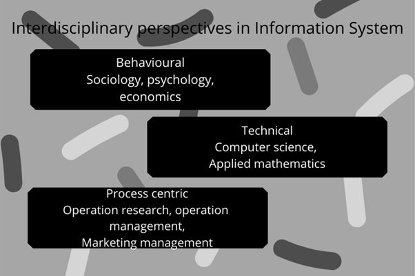 perspectives of business information system