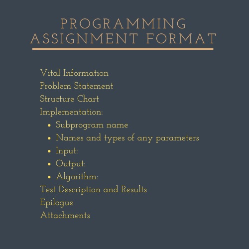 programming assignment format